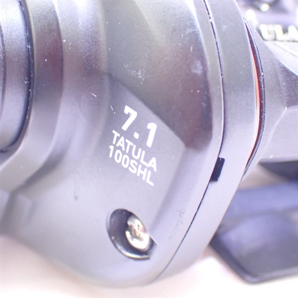 １９タトゥーラＴＷ１００ＳＨＬ